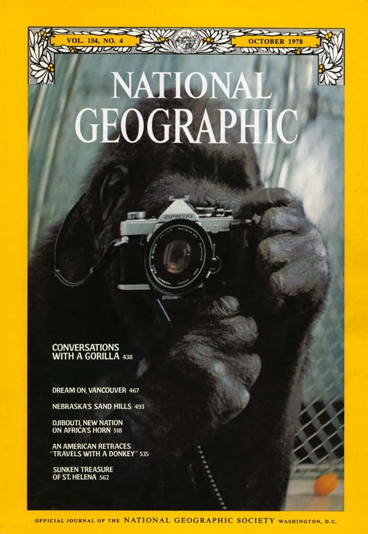 Guide to AI Photography: Recreate Iconic National Geographic Covers with AI (Prompts Included!)